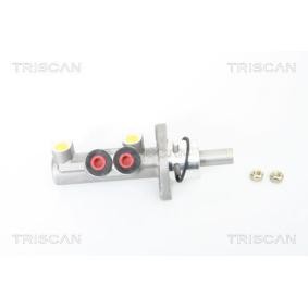 Hauptbremszylinder von TRISCAN