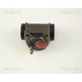 Radbremszylinder für CITROËN von TRISCAN