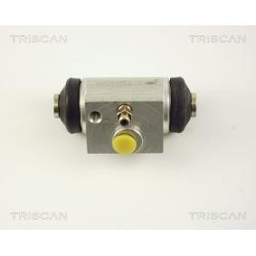 Radbremszylinder für CITROËN von TRISCAN
