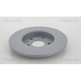 Gaszug für FIAT von TRISCAN