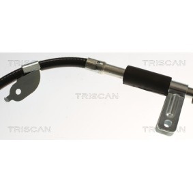 Gaszug für CITROËN von TRISCAN