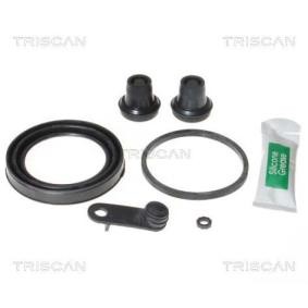 Bremssattel-Reparatursatz für PEUGEOT von TRISCAN