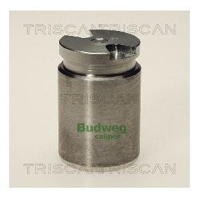 Comprar Émbolo, pinza del freno de TRISCAN 8170 233013 a bajo precio de 14,68 €