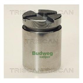 Kolben, Bremssattel für ROVER von TRISCAN