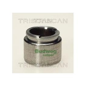 Kolben, Bremssattel 8170 233504 von TRISCAN günstig für 22,41 € online kaufen
