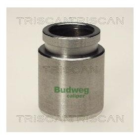 Kolben, Bremssattel 8170 233510