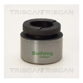 Comprar Émbolo, pinza del freno de TRISCAN 8170 233624 a bajo precio de 24,13 €
