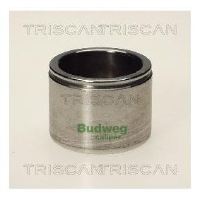 Kolben, Bremssattel für VOLVO von TRISCAN
