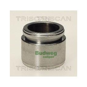 Comprar Émbolo, pinza del freno de TRISCAN 8170 234032 a bajo precio de 26,03 €