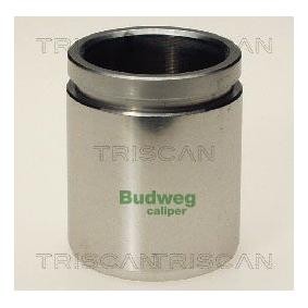 Kolben, Bremssattel 8170 234208