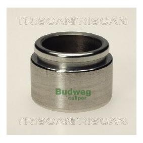 Comprar Émbolo, pinza del freno de TRISCAN 8170 234209 a bajo precio de 19,39 €