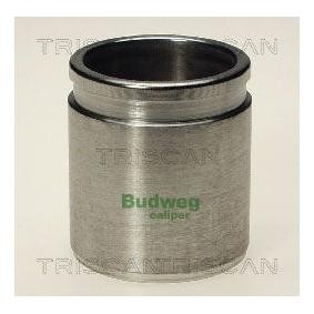 Kolben, Bremssattel 8170 234329 von TRISCAN günstig für 23,17 € online kaufen