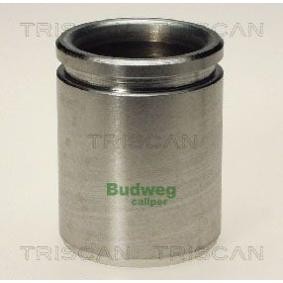 Kolben, Bremssattel 8170 234330 von TRISCAN günstig für 23,17 € online kaufen