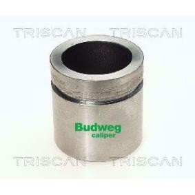Kolben, Bremssattel 8170 234335