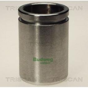 Comprar Émbolo, pinza del freno de TRISCAN 8170 234412 a bajo precio de 22,88 €