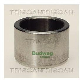 Comprar Émbolo, pinza del freno de TRISCAN 8170 234602 a bajo precio de 20,19 €