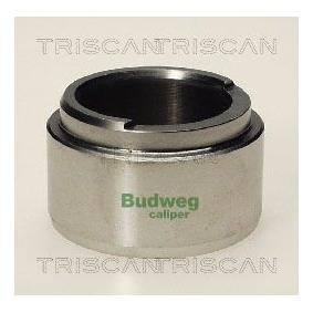 Kolben, Bremssattel 8170 234803