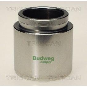 Comprar Émbolo, pinza del freno de TRISCAN 8170 234806 a bajo precio de 21,48 €