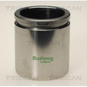 Kolben, Bremssattel 8170 234810 für LAND ROVER