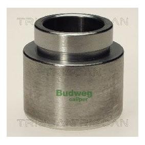 Kolben, Bremssattel 8170 234813