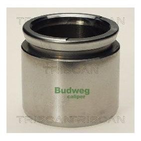 Kolben, Bremssattel 8170 234817 von TRISCAN günstig für 15,64 € online kaufen