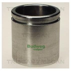 Kolben, Bremssattel 8170 234823