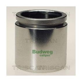 Kolben, Bremssattel 8170 234845