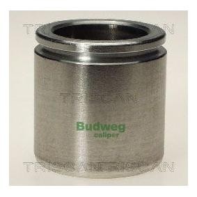 Kolben, Bremssattel 8170 234846 von TRISCAN günstig für 24,88 € online kaufen
