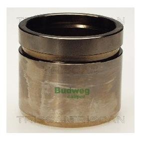 Kolben, Bremssattel 8170 235111