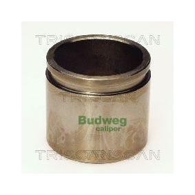 Kolben, Bremssattel 8170 235117