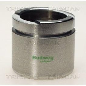 Kolben, Bremssattel 8170 235203