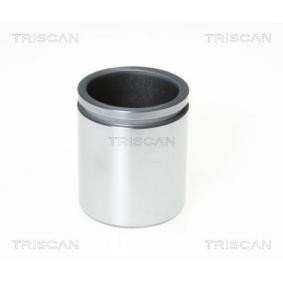 Kolben, Bremssattel für IVECO von TRISCAN
