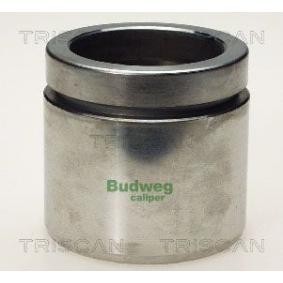 Kolben, Bremssattel 8170 235415
