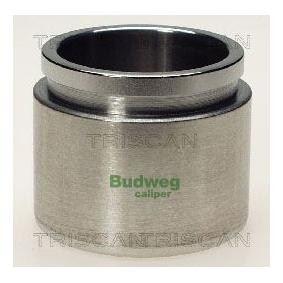 Kolben, Bremssattel 8170 235429