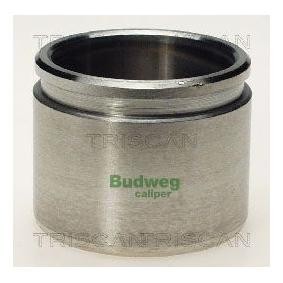 Kolben, Bremssattel 8170 235438