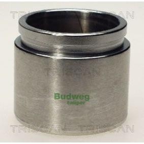 Comprar Émbolo, pinza del freno de TRISCAN 8170 235456 a bajo precio de 16,78 €
