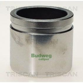Kolben, Bremssattel 8170 235465