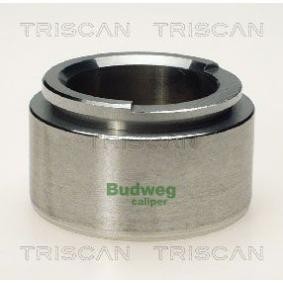 Kolben, Bremssattel 8170 235702