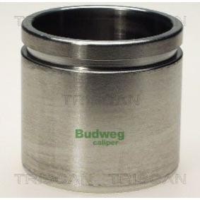 Kolben, Bremssattel 8170 235717
