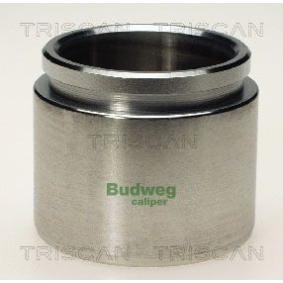 Kolben, Bremssattel 8170 235722