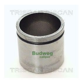 Kolben, Bremssattel 8170 235728