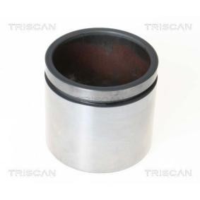 Acquista Pistoncino pinza freno da TRISCAN 8170 235739 a buon mercato per soli 31,30 €