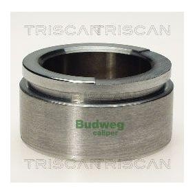 Comprar Émbolo, pinza del freno de TRISCAN 8170 236004 a bajo precio de 29,48 €