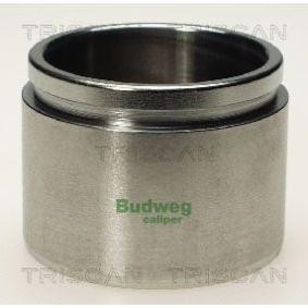 Kolben, Bremssattel 8170 236015
