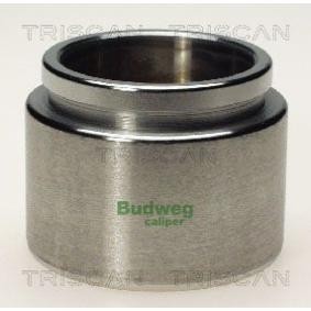 Kolben, Bremssattel 8170 236021