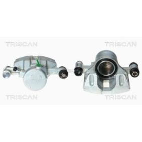 Bremssattel 8170 341253