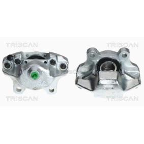Bremssattel 8170 34196