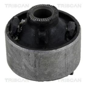 Lagerung, Lenker von TRISCAN