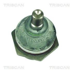 Acquista Testina braccio oscillante da TRISCAN 8500 17106 a buon mercato per soli 11,23 €