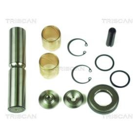 Achetez des Kit d'assemblage, pivot de fusée d'essieu TRISCAN 8500 23400 à prix pour 57,48 €